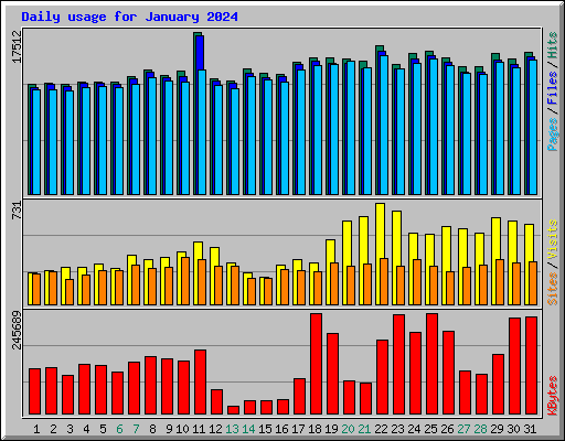 Daily usage for January 2024