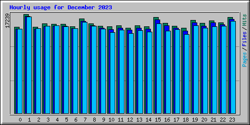 Hourly usage for December 2023