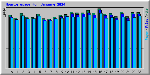 Hourly usage for January 2024