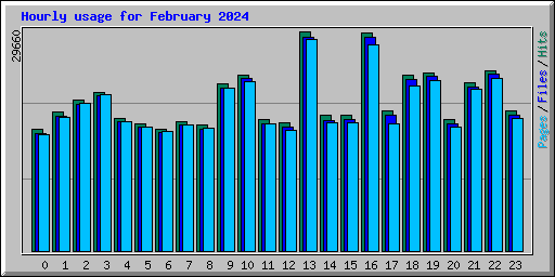 Hourly usage for February 2024