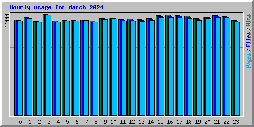 Hourly usage for March 2024